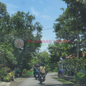 Proses CPMI PT. Sansan Yosindo di Majalengka