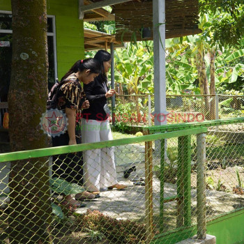 Proses CPMI PT. Sansan Yosindo di Majalengka